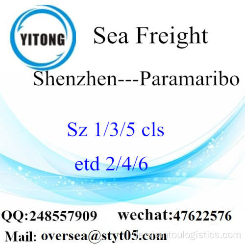 Shenzhen-Hafen LCL Konsolidierung nach Paramaribo